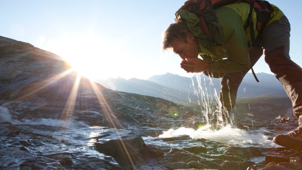 A Survival Professional’s Greatest Methods for Discovering Water