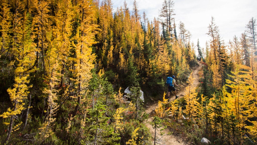 Which Thru-Hiking Trail is Best for You? Take this Quiz to Find Out